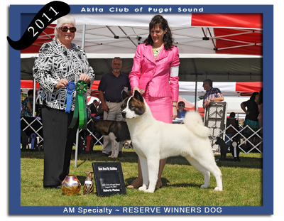 ACPS 2011  Reserve Winners Dog